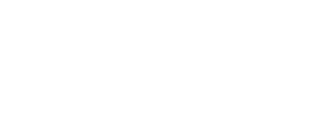 VDU Conferences